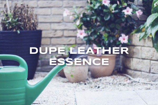 dupe leather essence