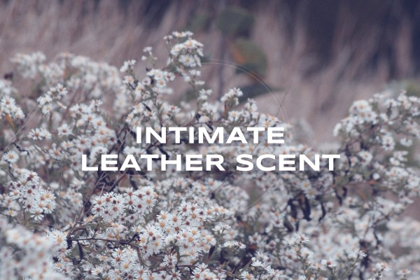 intimate leather scent