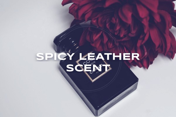 spicy leather scent